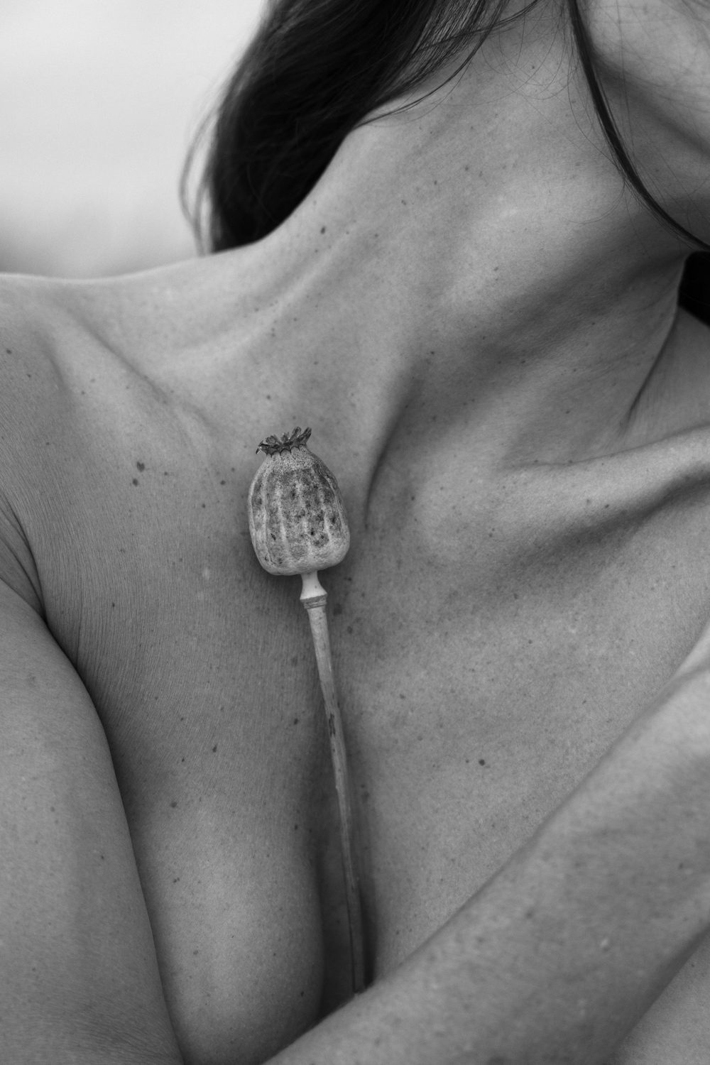 Gros plan sur un végétal sec sur une poitrine, en noir et blanc